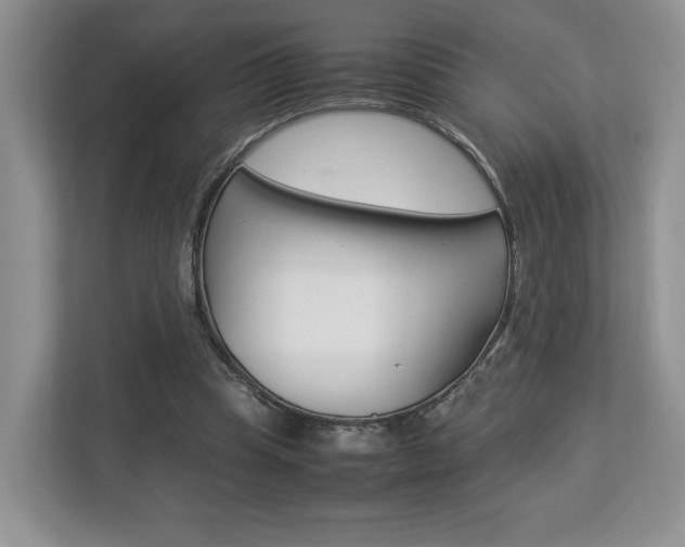 X0000112830345200908210943