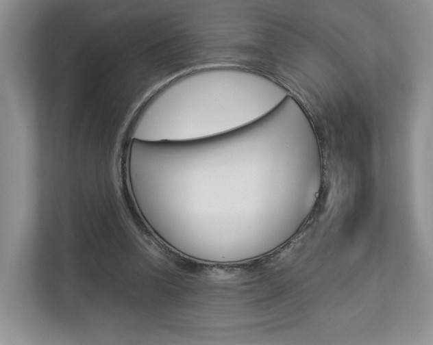 X0000112830346200908210943