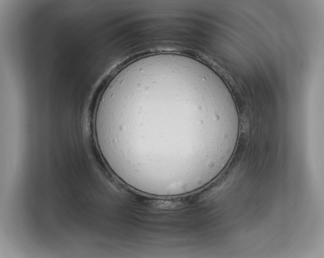 X0000112830347200908210943