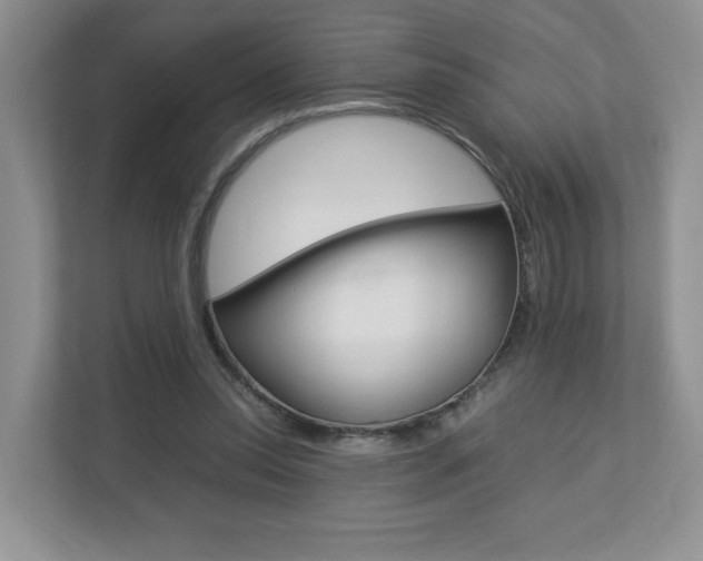 X0000112830350200908210943