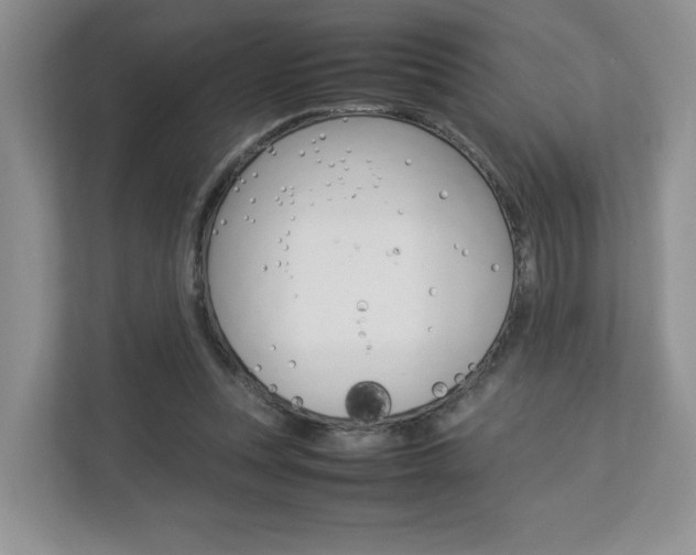 X0000112830351200908210943