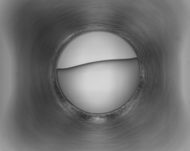 X0000112830352200908210943