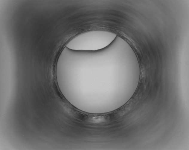 X0000112830353200908210943
