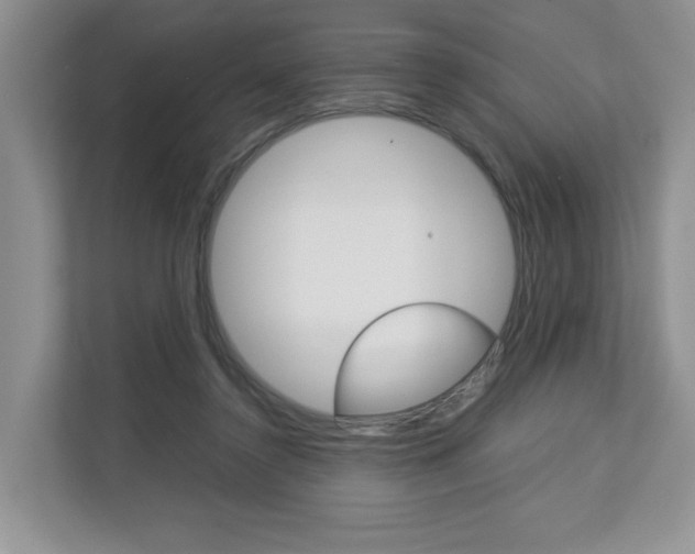 X0000112830356200908210943