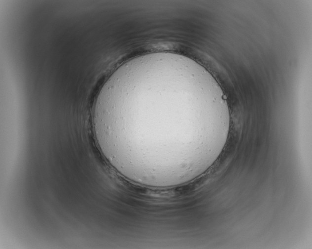 X0000112830359200908210943