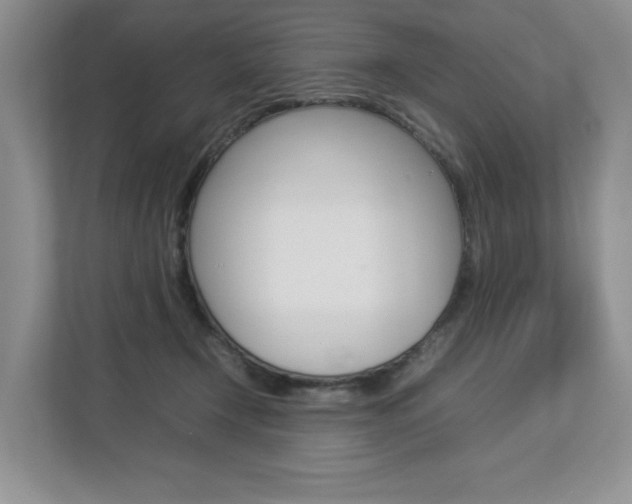 X0000112830366200908210943