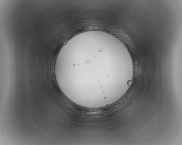 X0000112830369200908210943