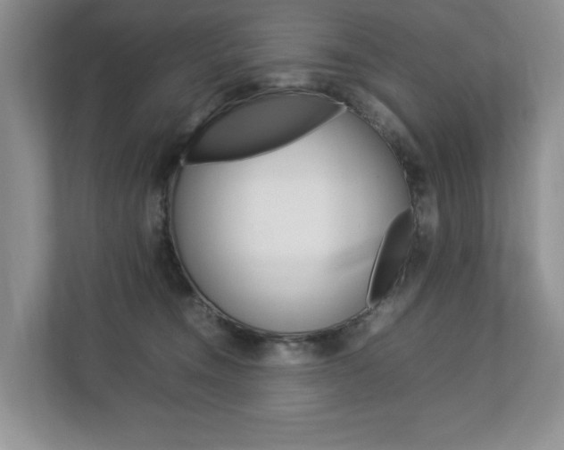X0000112830372200908210943