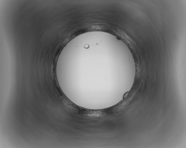 X0000112830377200908210943