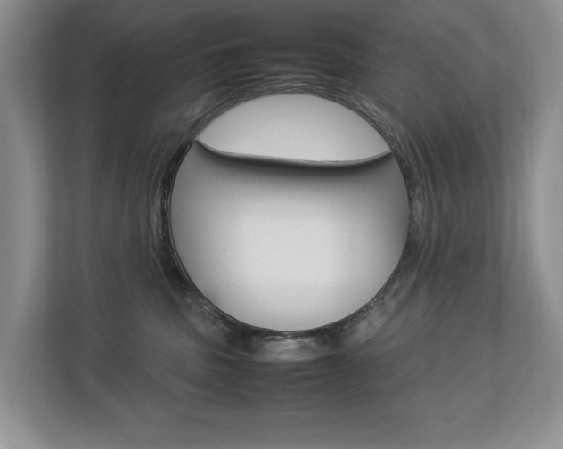 X0000112830379200908210943