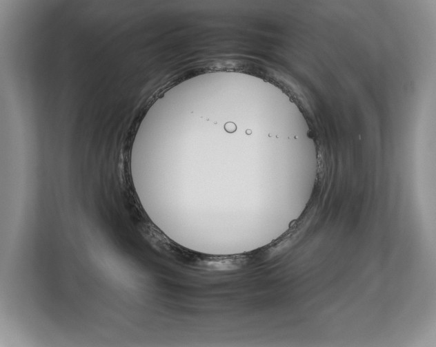 X0000112830381200908210943