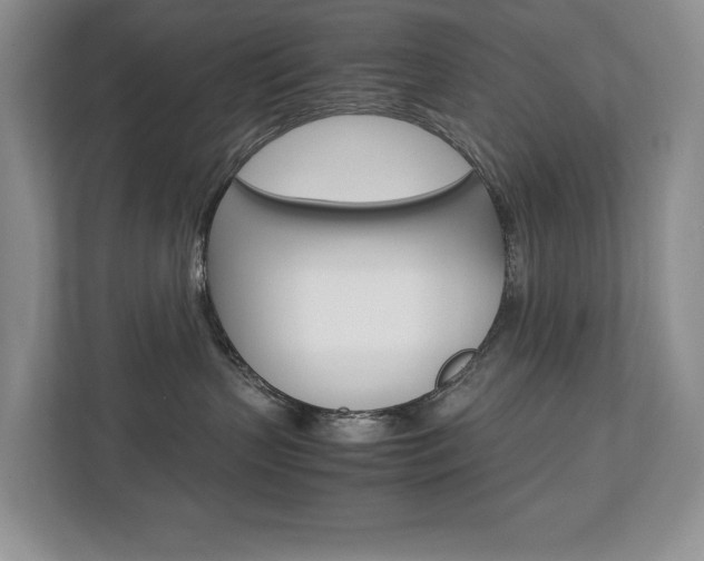 X0000112830383200908210943