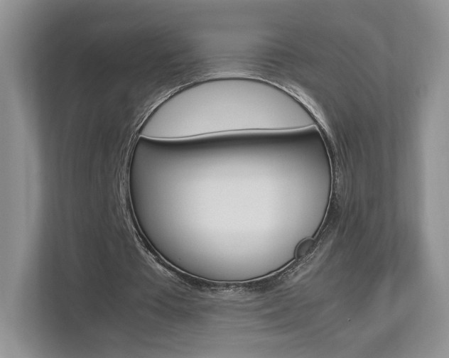 X0000112830385200908210943