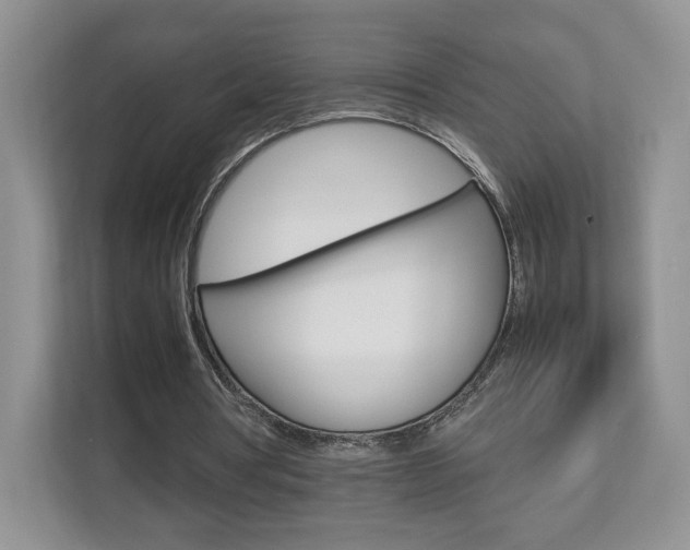 X0000112830386200908210943