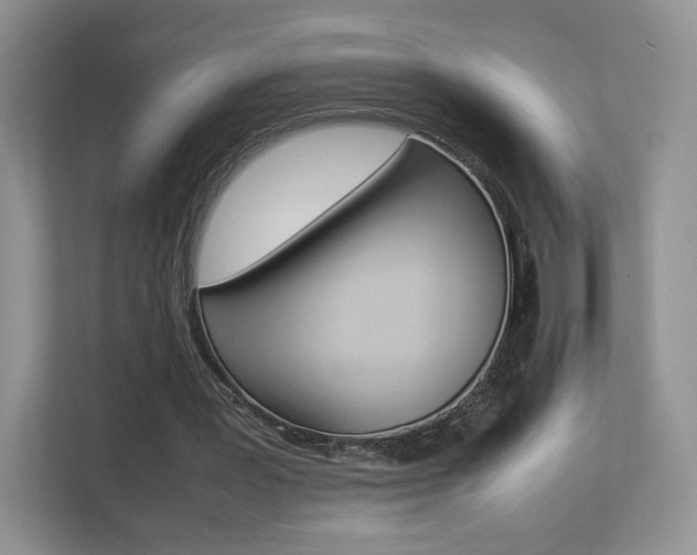 X0000112830387200908210943