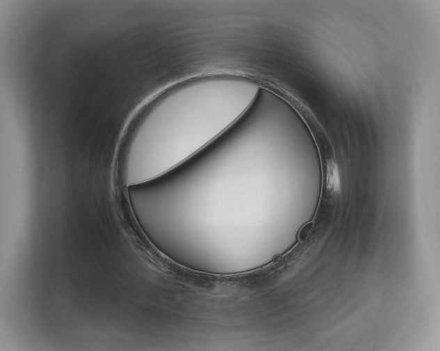 X0000112830388200908210943