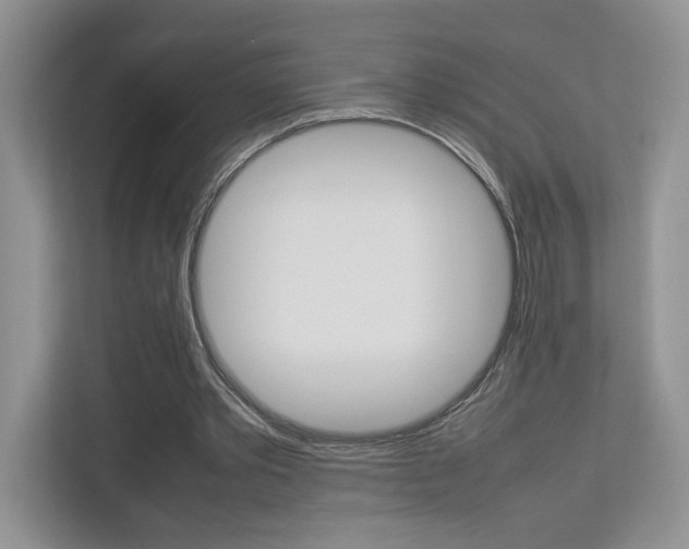 X0000112830389200908210943