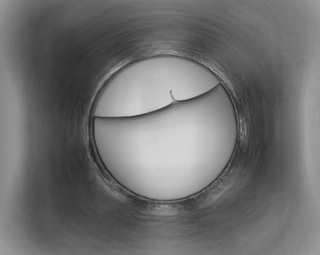 X0000112830390200908210943