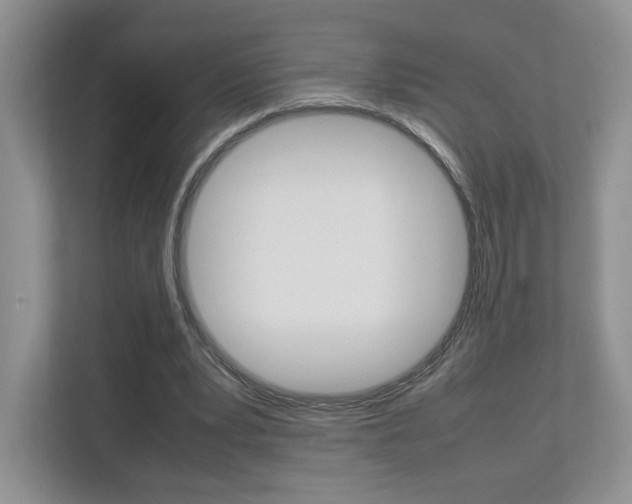 X0000112830391200908210943