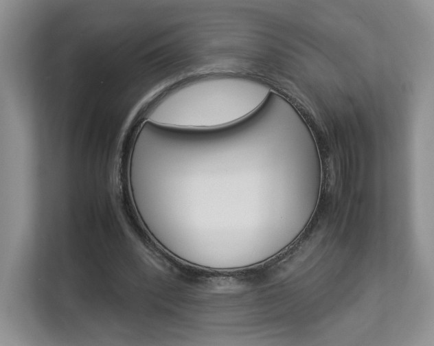 X0000112830392200908210943