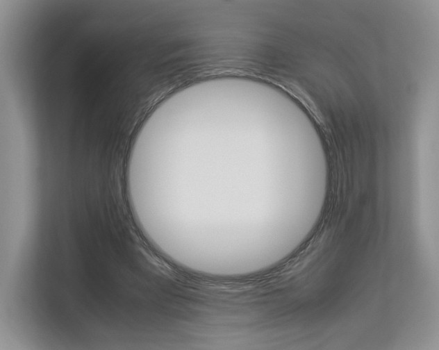 X0000112830393200908210943