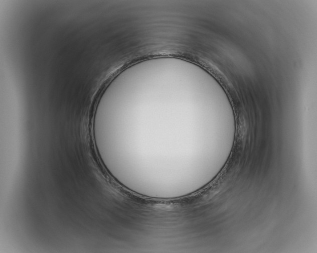 X0000112830394200908210943