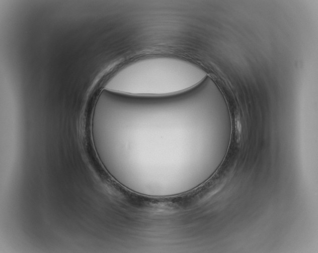 X0000112830396200908210943