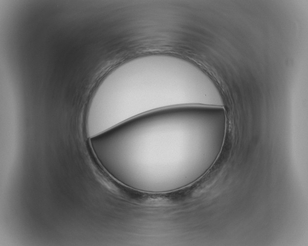X0000112830397200908210943