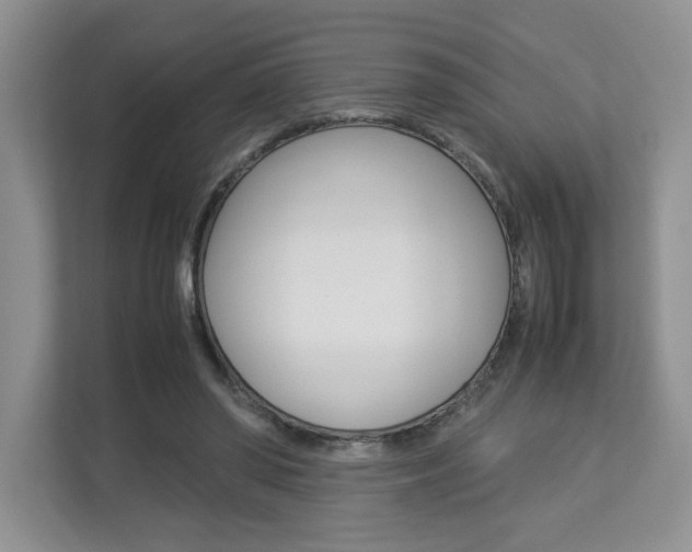 X0000112830398200908210943