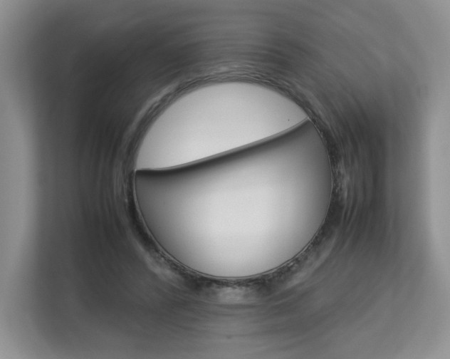 X0000112830400200908210943