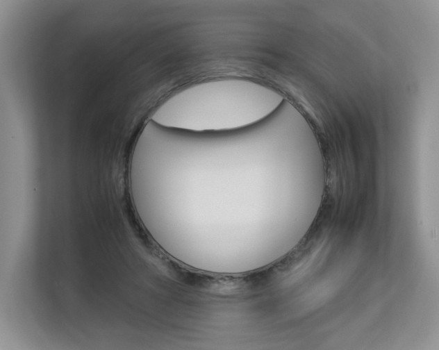 X0000112830402200908210943