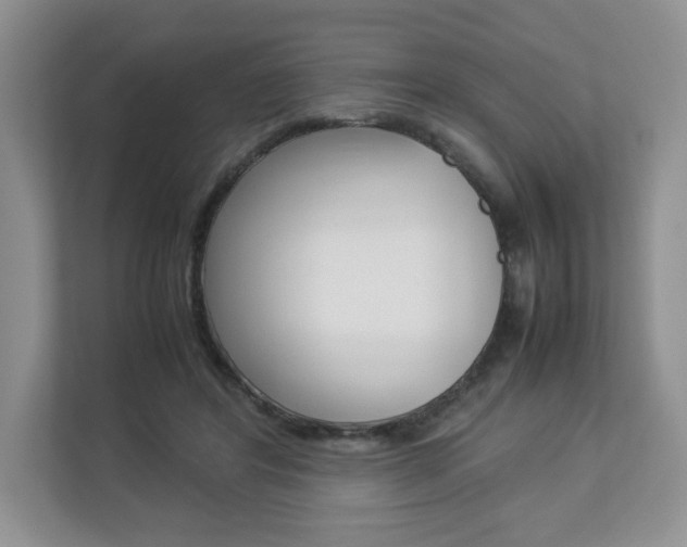 X0000112830404200908210943