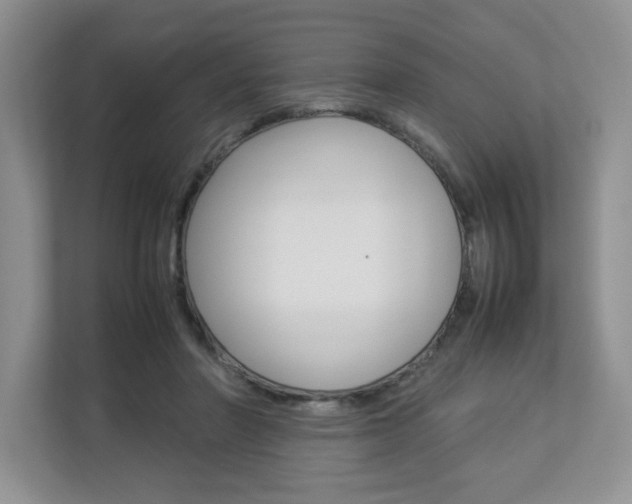 X0000112830406200908210943