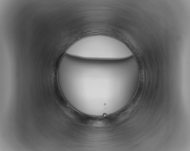 X0000112830412200908210943