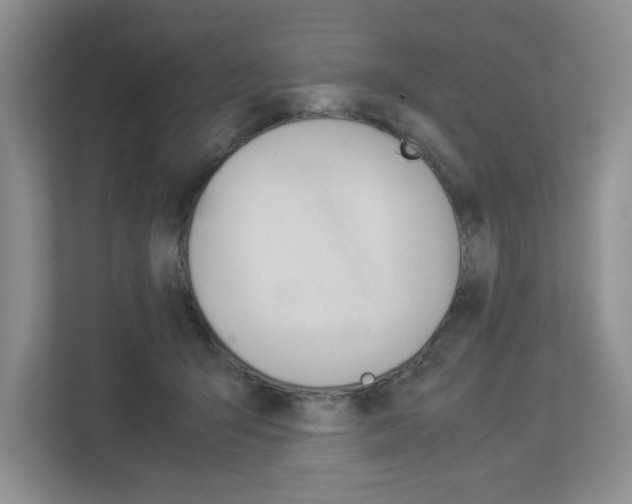 X0000112830415200908210942