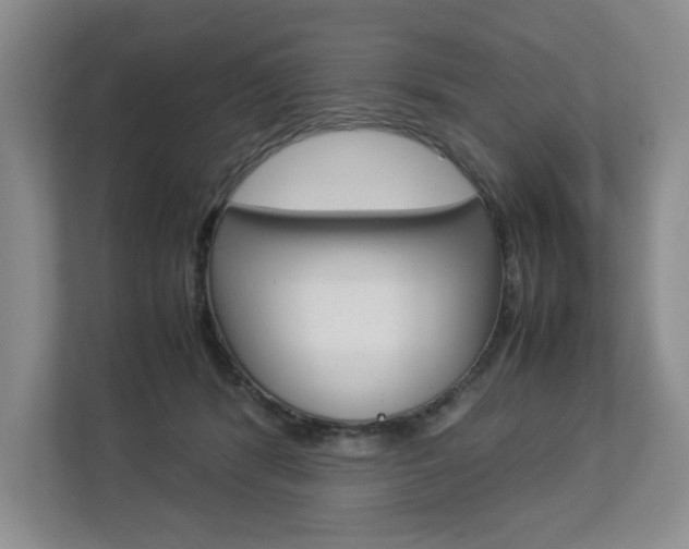 X0000112830416200908210942