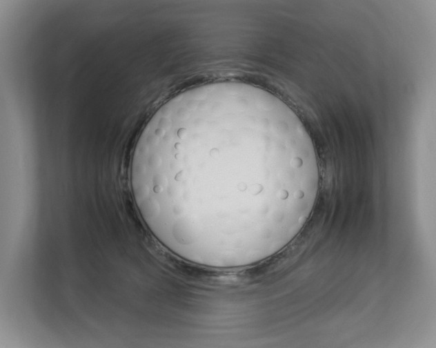 X0000112830418200908210942