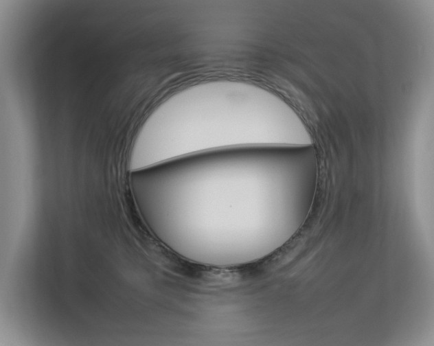 X0000112830421200908210942