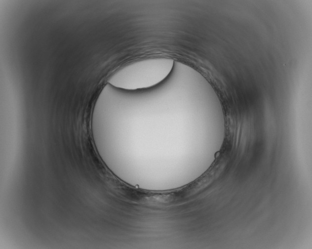 X0000112830422200908210942