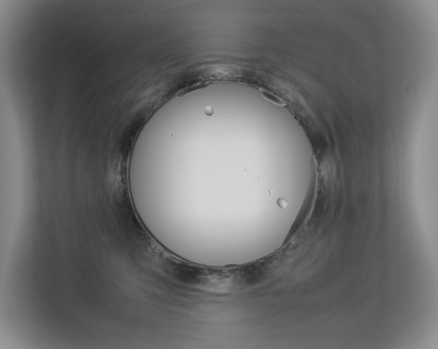 X0000112830423200908210942