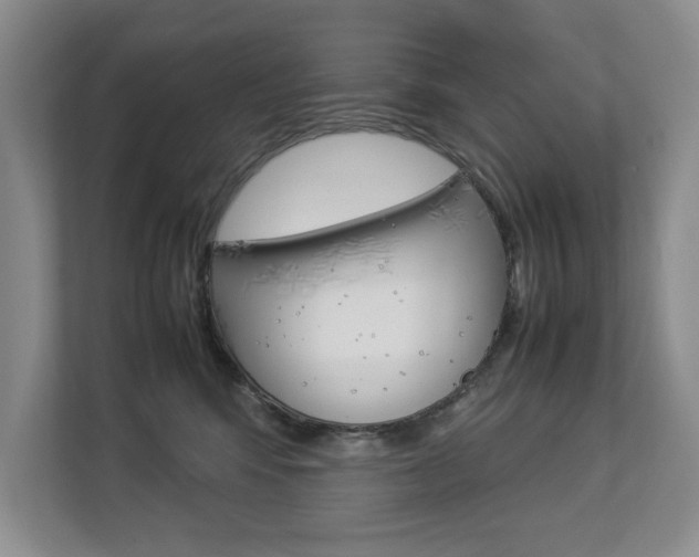 X0000112830424200908210942