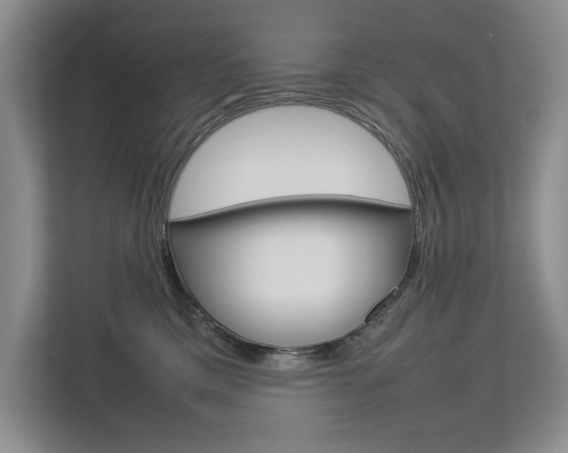 X0000112830425200908210942