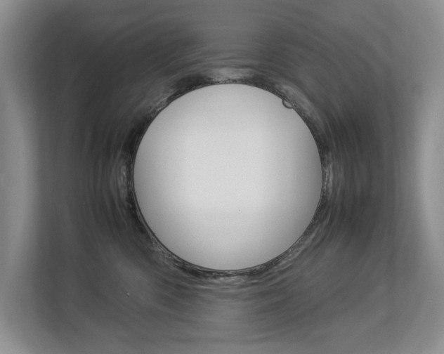 X0000112830426200908210942
