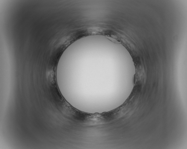 X0000112830427200908210942