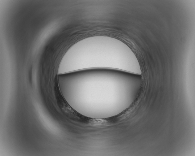 X0000112830429200908210942