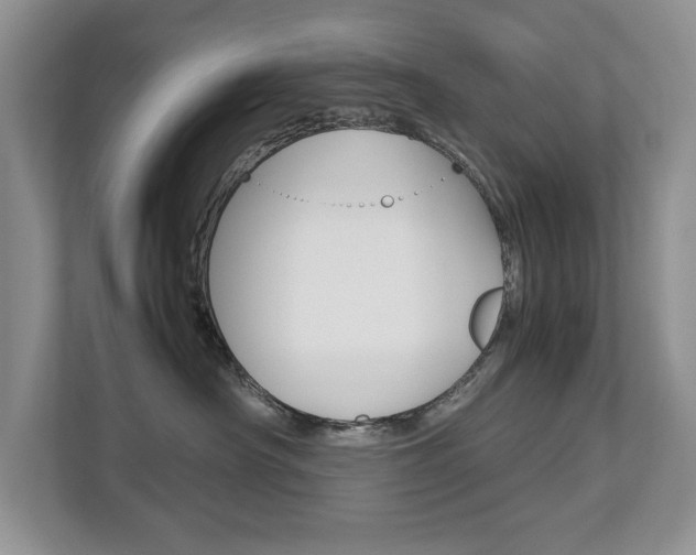 X0000112830430200908210942