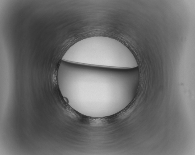 X0000112830432200908210942