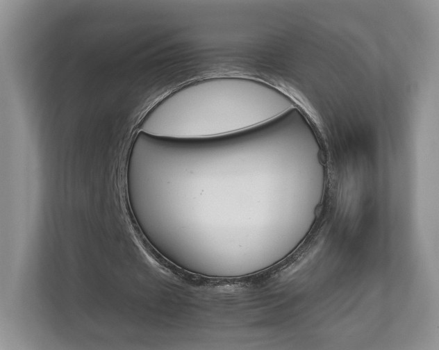 X0000112830433200908210942