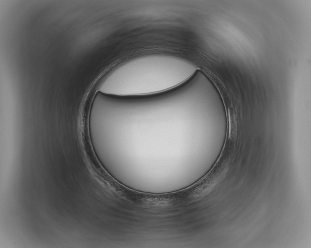 X0000112830435200908210942
