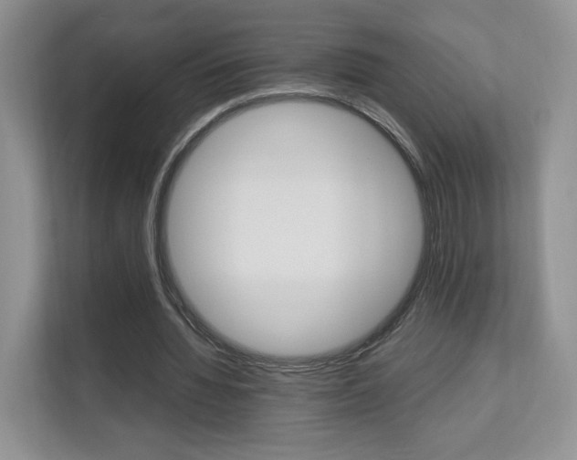 X0000112830436200908210942